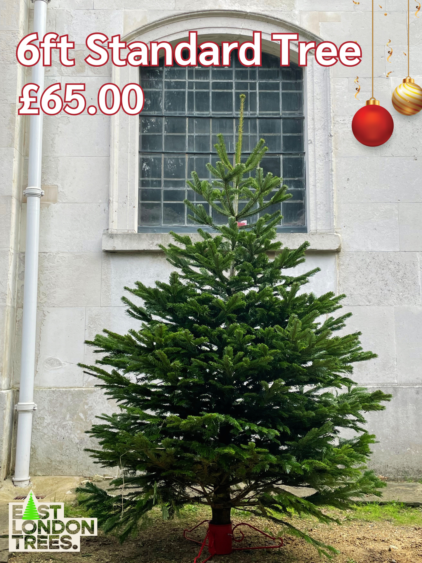 6ft Non-Drop Tree